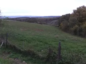 Dražba louky, Kelníky, 1707 m2