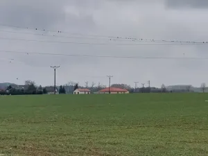 Prodej pole, Podluhy, 25484 m2