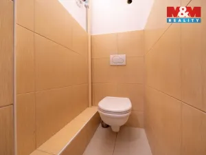 Prodej bytu 2+kk, Plzeň, Vrchlického, 57 m2