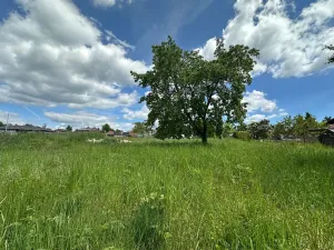 Prodej pozemku pro bydlení, Loučeň, Spojovací, 1321 m2