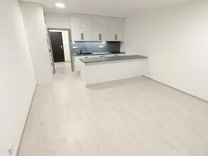 Pronájem bytu 1+kk, Přerov, Seifertova, 39 m2