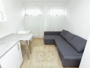 Pronájem bytu 1+kk, Praha - Krč, Budějovická, 21 m2