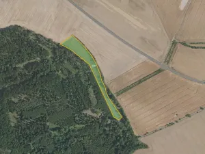 Prodej louky, Benátky nad Jizerou, 16872 m2