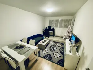 Prodej bytu 2+1, Brno, U Červeného mlýna, 56 m2