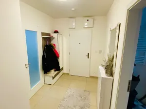 Prodej bytu 2+1, Brno, U Červeného mlýna, 56 m2