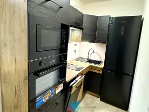 Pronájem bytu 2+kk, Teplice, Arbesova, 47 m2