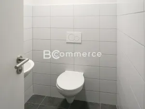 Pronájem kanceláře, Brno, 240 m2