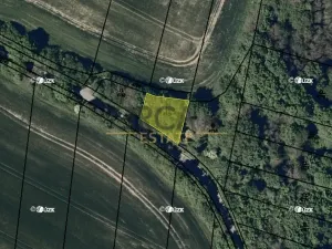 Prodej louky, Březolupy, 1729 m2