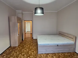 Pronájem bytu 1+1, Hradec Králové, Pospíšilova, 48 m2
