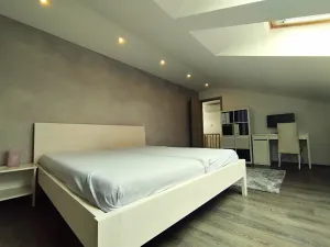 Prodej bytu 5+kk, Brno, Šafaříkova, 132 m2