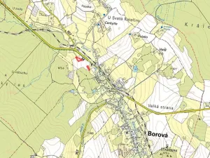Prodej komerčního pozemku, Borová, 4941 m2
