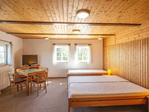 Prodej ubytování, Mařenice, 497 m2