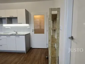 Pronájem bytu 1+1, Písek, 17. listopadu, 35 m2