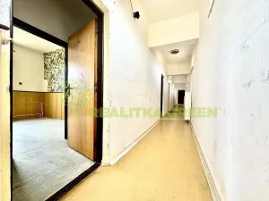 Prodej ubytování, Želetava, Pražská, 1135 m2