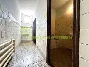 Prodej ubytování, Želetava, Pražská, 1135 m2