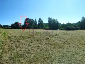 Prodej pozemku pro bydlení, Nová Bystřice, 3213 m2