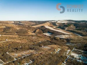 Prodej sadu/vinice, Hustopeče, 2896 m2