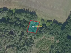 Prodej lesa, Němčice, 550 m2