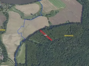 Prodej lesa, Přerov nad Labem, 2852 m2