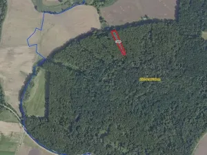 Prodej lesa, Přerov nad Labem, 2974 m2