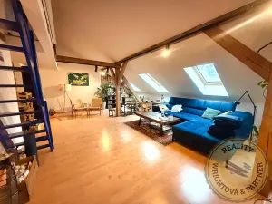 Prodej atypického bytu, Praha - Košíře, Plzeňská, 178 m2