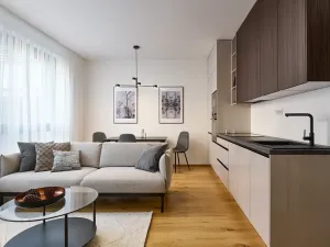 Pronájem bytu 2+kk, Praha - Nusle, Muzikova, 41 m2