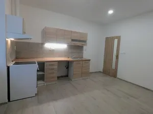Pronájem bytu 2+kk, Peruc, U Koupaliště, 54 m2