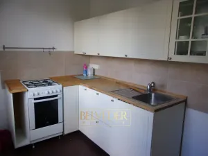 Pronájem bytu 2+1, Teplice, Zrenjaninská, 53 m2