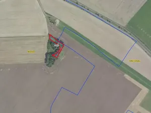 Prodej lesa, Běrunice, 1361 m2