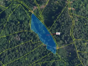 Dražba louky, Jílové u Držkova, 4019 m2