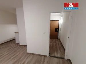 Pronájem bytu 1+kk, Ústí nad Labem - Krásné Březno, Dr. Horákové, 31 m2