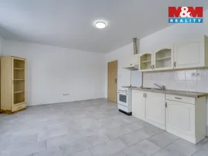 Pronájem bytu 1+kk, Plzeň - Malesice, Mlýnská, 25 m2