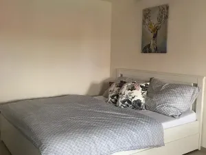 Prodej vinného sklepa, Čejkovice, 66 m2