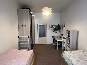 Pronájem bytu 1+1, Praha - Podolí, Na dolinách, 31 m2