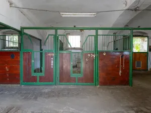 Prodej zemědělské usedlosti, Bžany, 240 m2