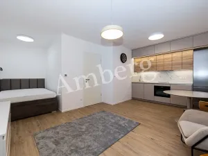 Pronájem bytu 1+kk, Praha - Karlín, Křižíkova, 32 m2