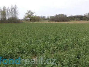 Prodej pole, Žíšov, 3467 m2