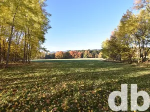 Prodej pozemku pro bydlení, Nová Role, 43224 m2