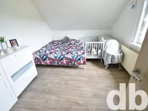 Prodej vícegeneračního domu, Karlovy Vary, K Přehradě, 568 m2