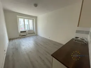 Pronájem bytu 1+kk, Praha - Nusle, Žateckých, 29 m2