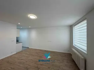 Pronájem bytu 2+kk, Ústí nad Labem, Anežky České, 49 m2