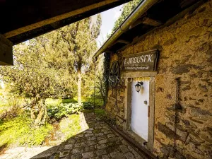 Prodej chalupy, Rohozná, 730 m2