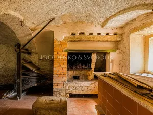 Prodej chalupy, Rohozná, 730 m2