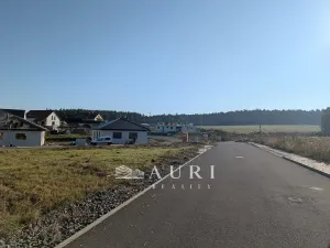 Prodej pozemku pro bydlení, Olešná, 1130 m2