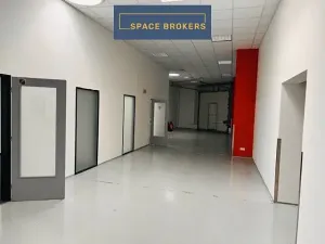 Pronájem kanceláře, Praha, 2228 m2