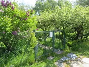 Dražba pole, Niva, 7239 m2