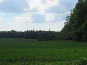 Dražba pole, Niva, 7239 m2