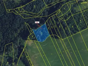 Dražba lesa, Spešov, 1590 m2