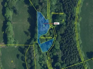 Dražba lesa, Benešov u Semil, 1964 m2