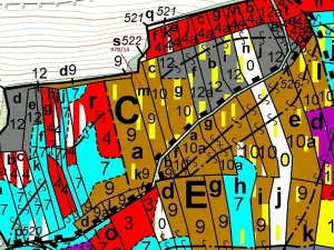 Dražba lesa, Milavče, 2762 m2